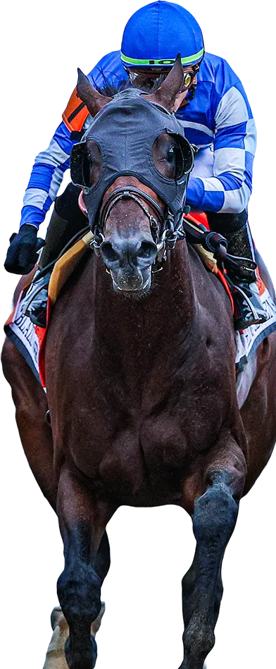 horse running
